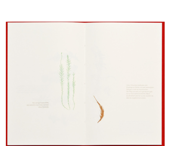 Mahn, Jule Claudia; Verwandte Kinder / Related Children (2014) Mahn, Jule Claudia; Verwandte Kinder / Related Children (2014)